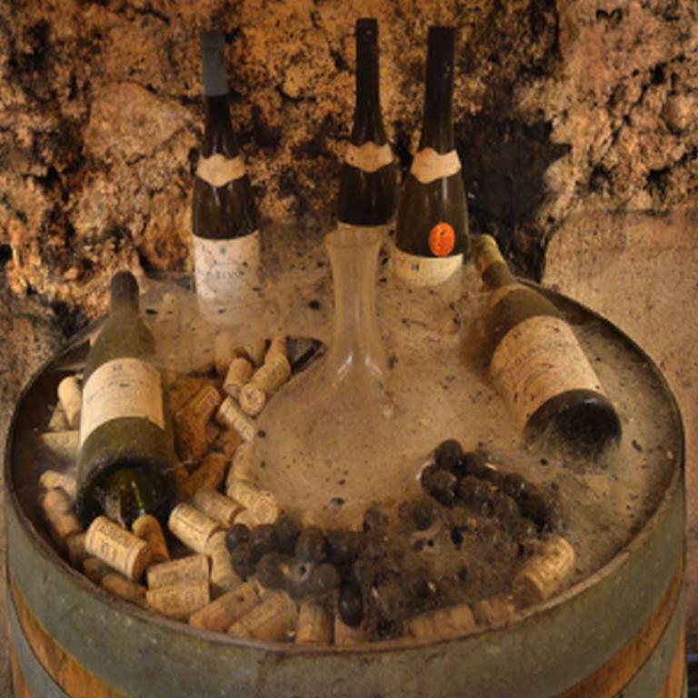 Chateau Rieutort Saint-Pargoire Zewnętrze zdjęcie